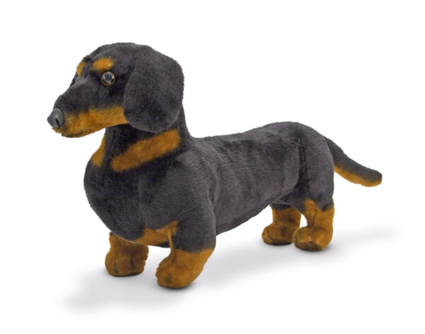 ΣΚΥΛΙ DACHSHUND 46 ΕΚ.